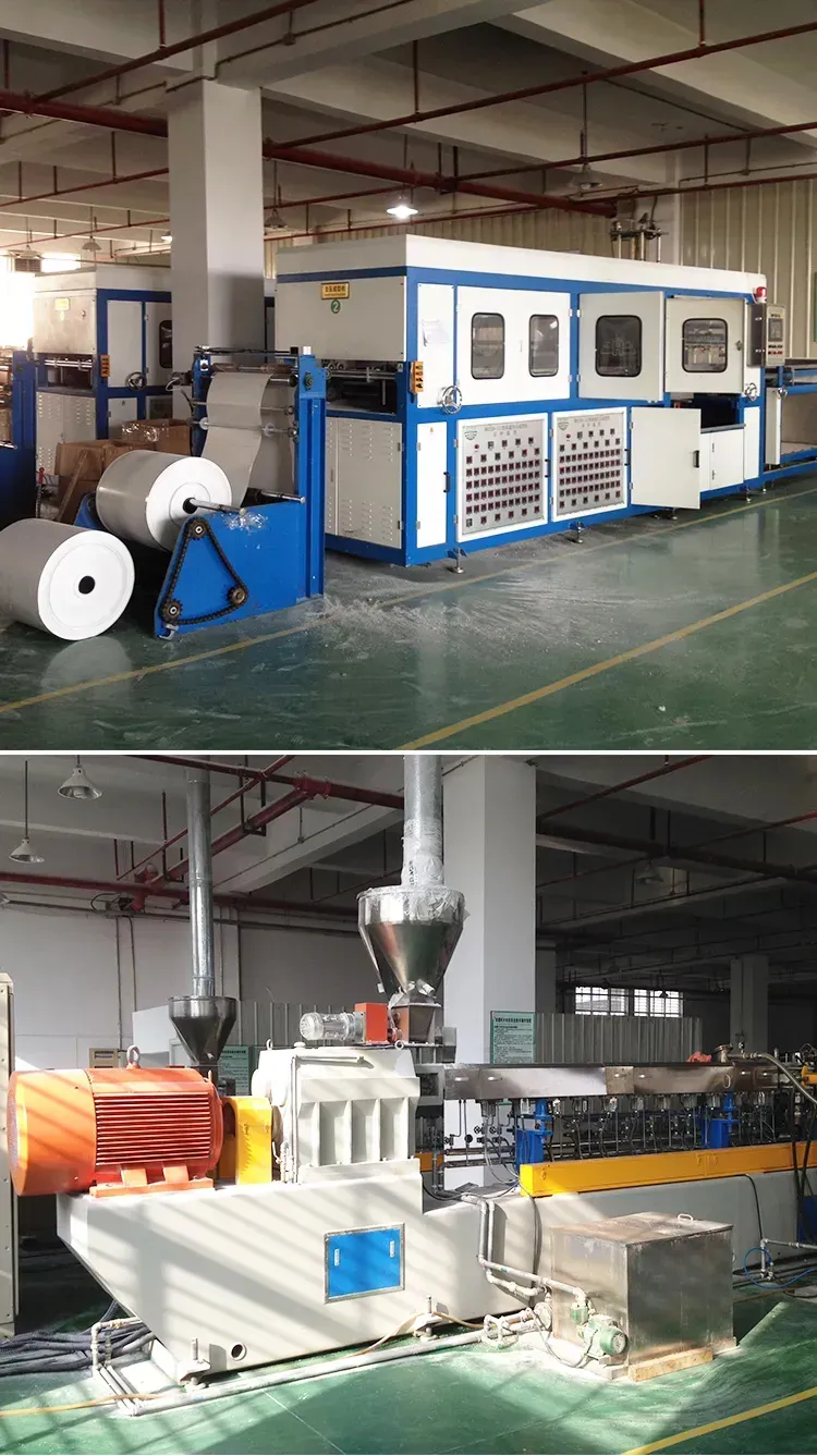 Degradable lunch box food grade utensilPSP and corn starch production line produce degradable and environment-friendly tableware - Degradable lunch box 1 - Green Building EPS Machine