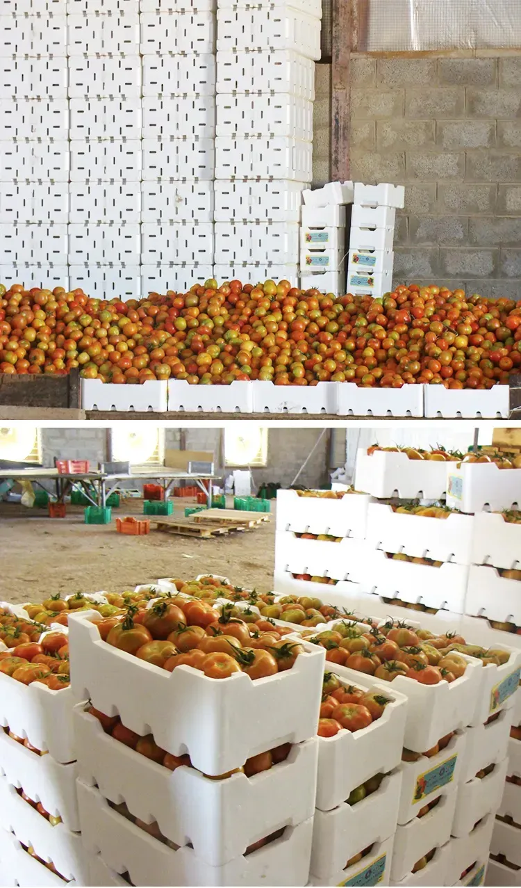 Polystyrene molds for packaging boxes that provide convenient transportation of vegetable and fruit box molds - EPS Fruit And Vegetable Packaging Box 1 1 - Green Building EPS Machine