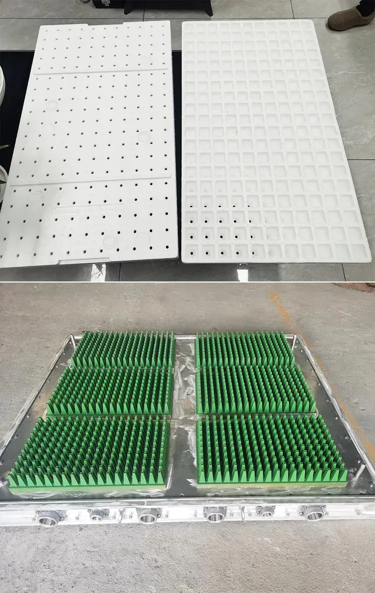 EPS agricultural application mould for EPS seeding tray , vegetable box Production based on EPS shape molding machine - EPS seeding tray 1 2 - Green Building EPS Machine