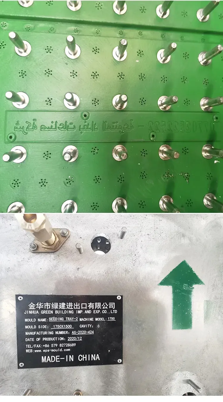 EPS agricultural application mould for EPS seeding tray , vegetable box Production based on EPS shape molding machine - EPS seeding tray 3 1 - Green Building EPS Machine